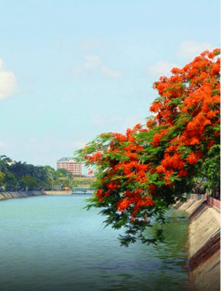 Hải Phòng